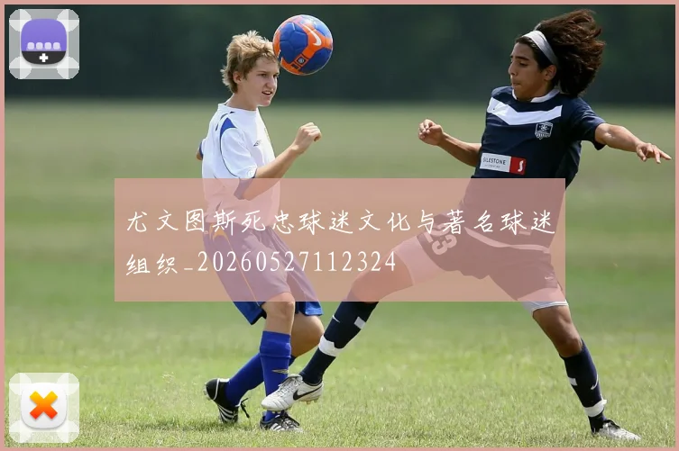 尤文图斯死忠球迷文化与著名球迷组织_20260527112324
