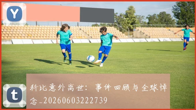 科比意外离世:事件回顾与全球悼念_20260603222739