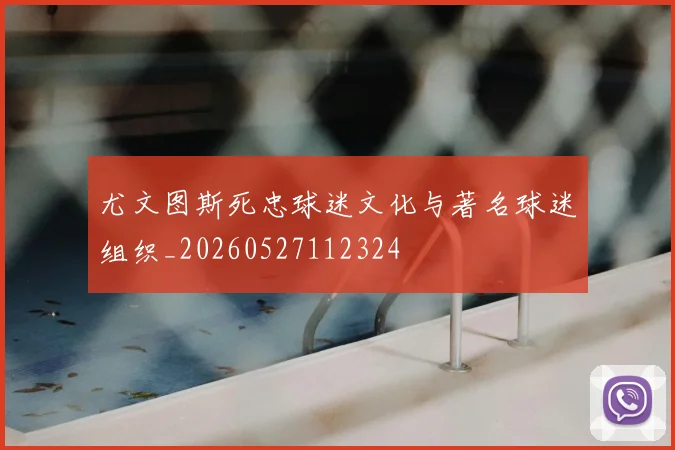 尤文图斯死忠球迷文化与著名球迷组织_20260527112324